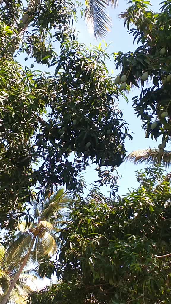 @spg. Vimal