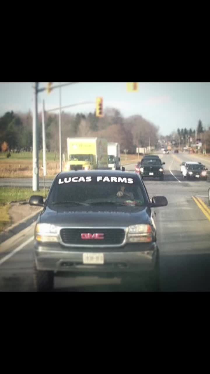 @Carter Lucas