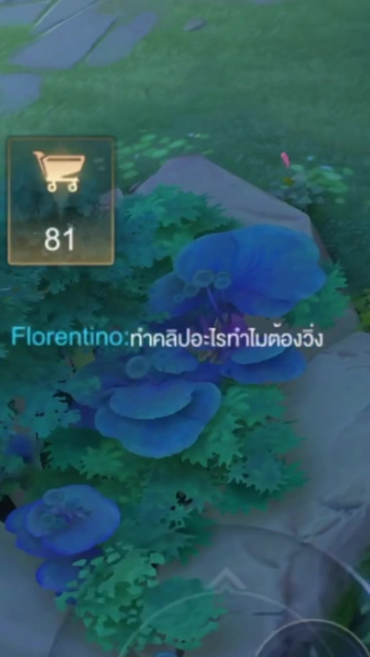 @Fool.minnie
