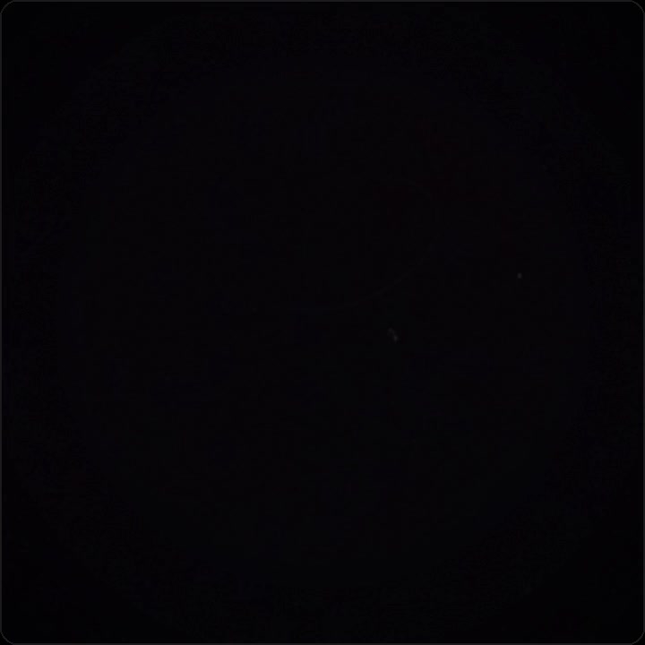 @Otaku_king45