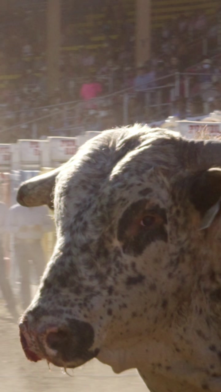 @Pendleton Round-Up & HC
