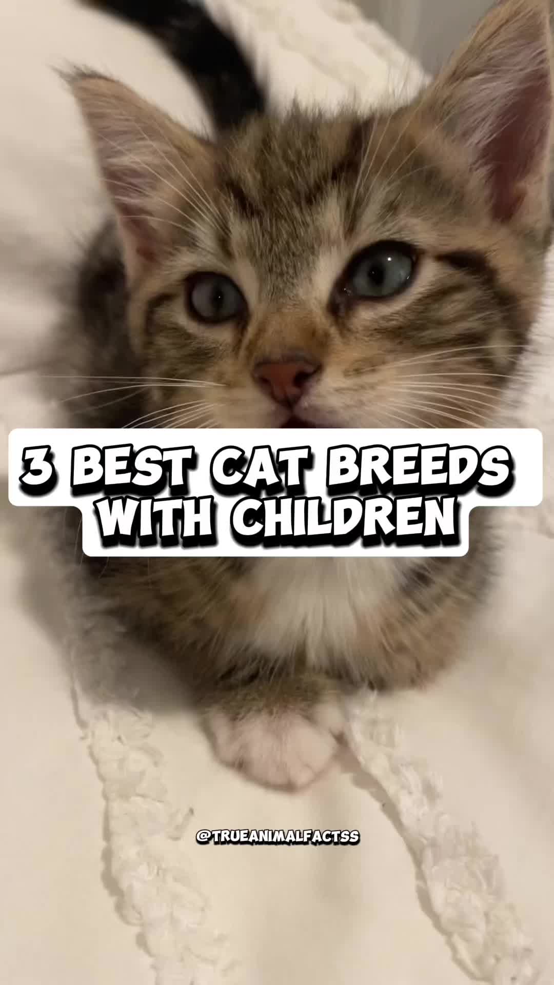 @trueanimalfactss