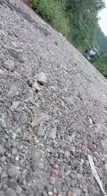 @AyyA SeMpOi🍁🌬️