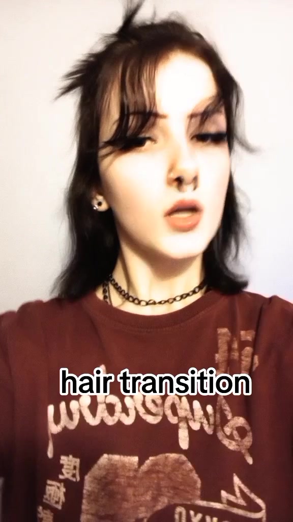 @๐ฆ๐ shannon ๐๐ฆ