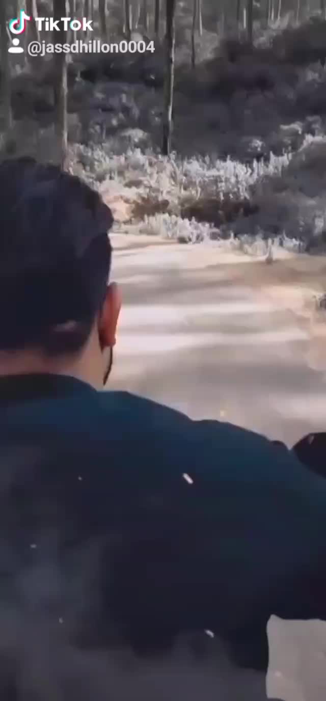 @user4665485345522