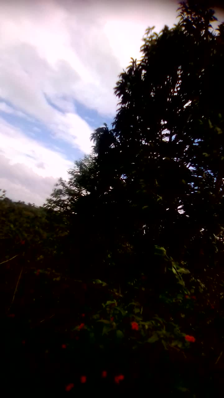 @Anitha Pramod