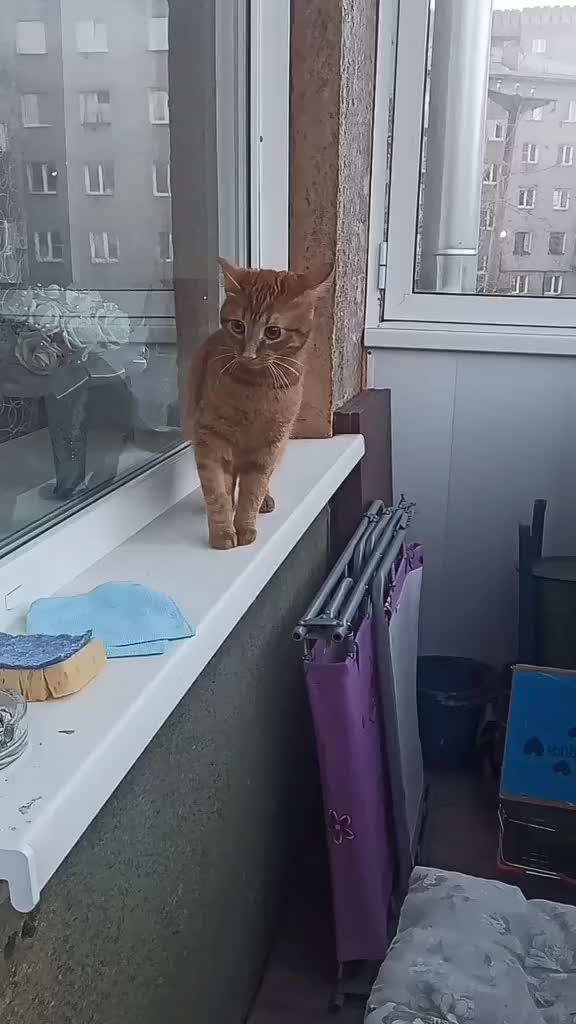 @Мария Москвина