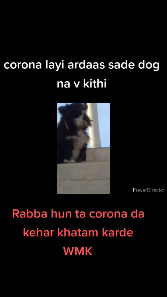 @Saroye saab