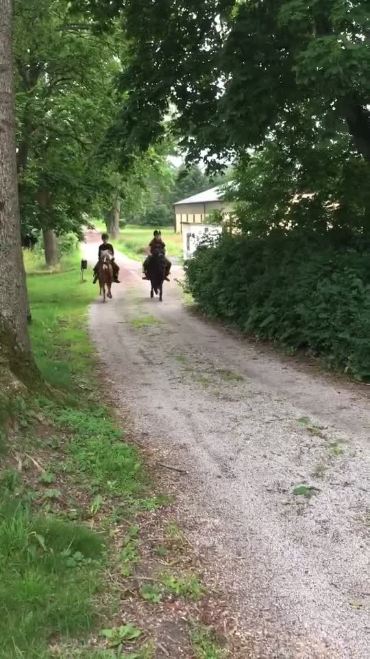 @đŠ