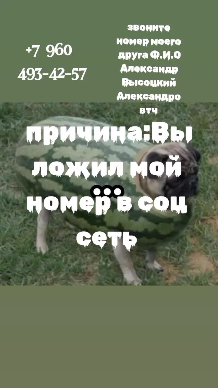 @GrevenToHarya
