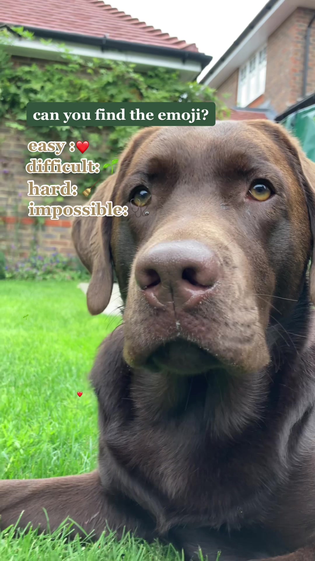 @🐾 𝑻𝒆𝒅𝒅𝒚🐾
