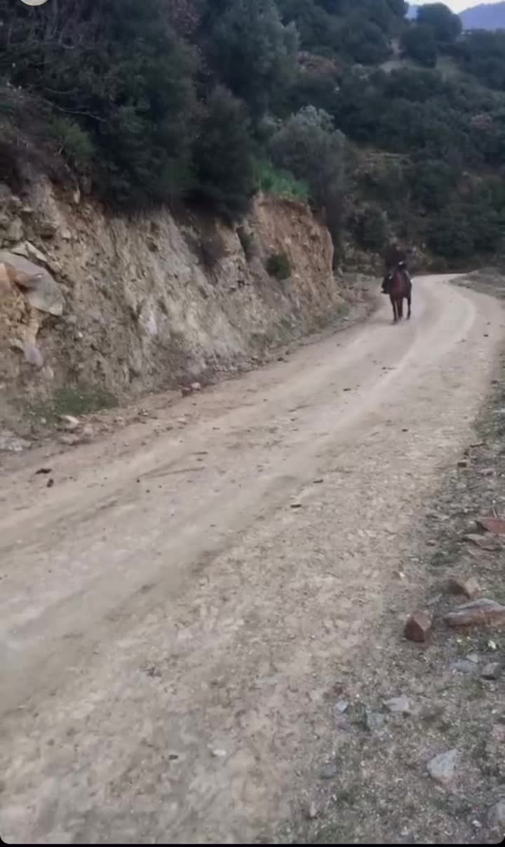 @Nazillirahvan09