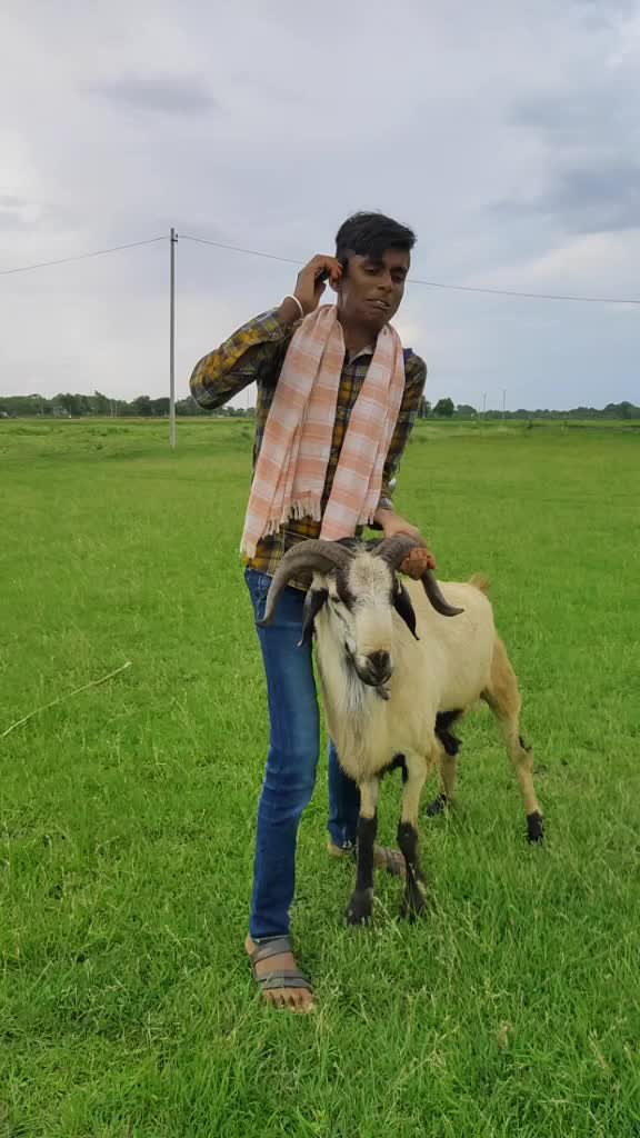 @rajutadichettu@gmail