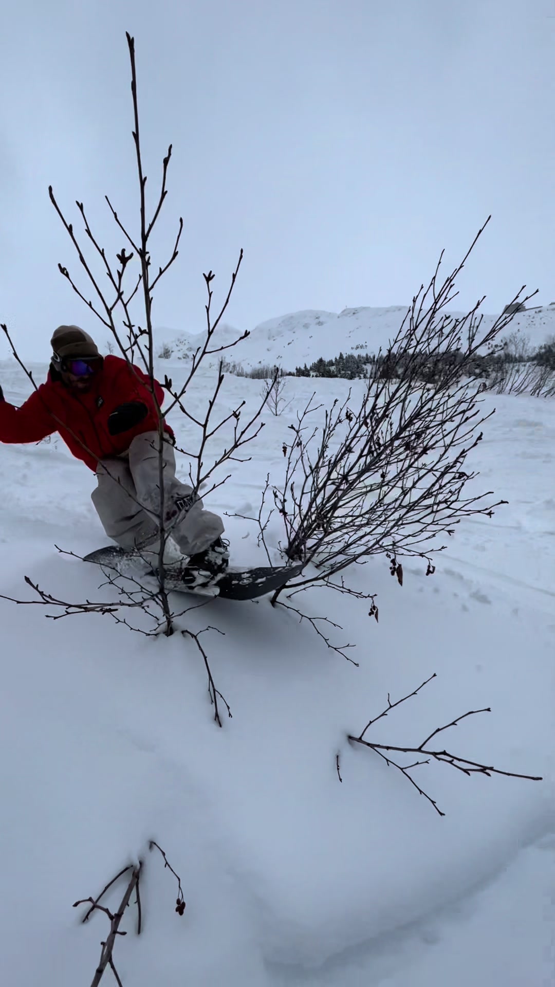 @ridesnowboards