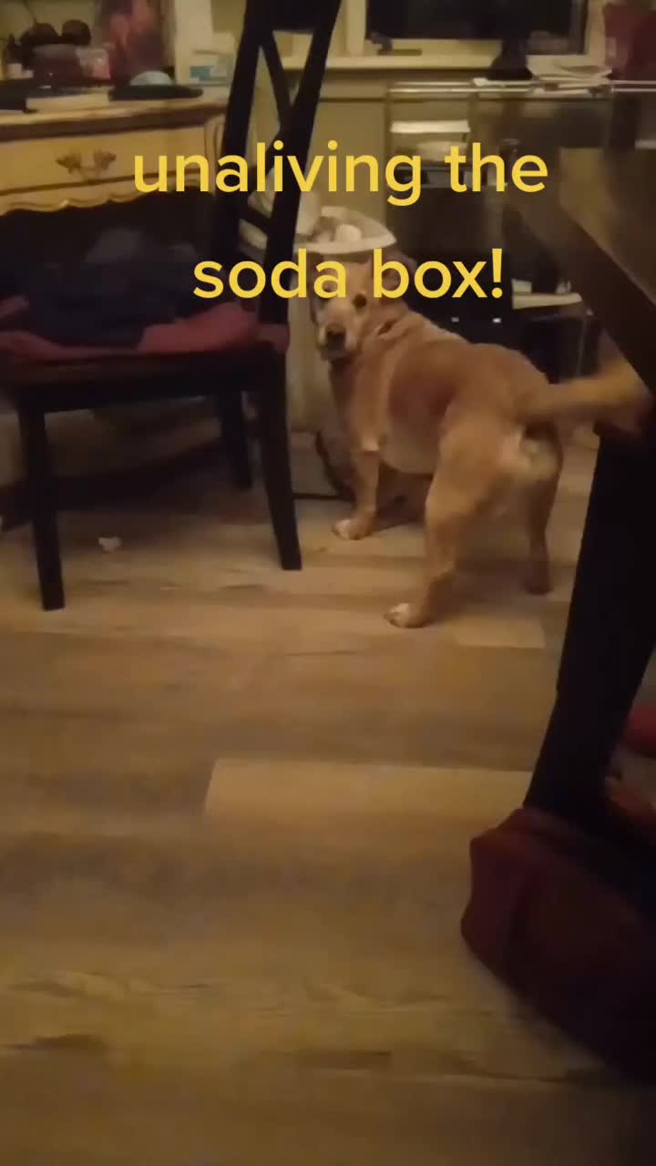 @pugsalive