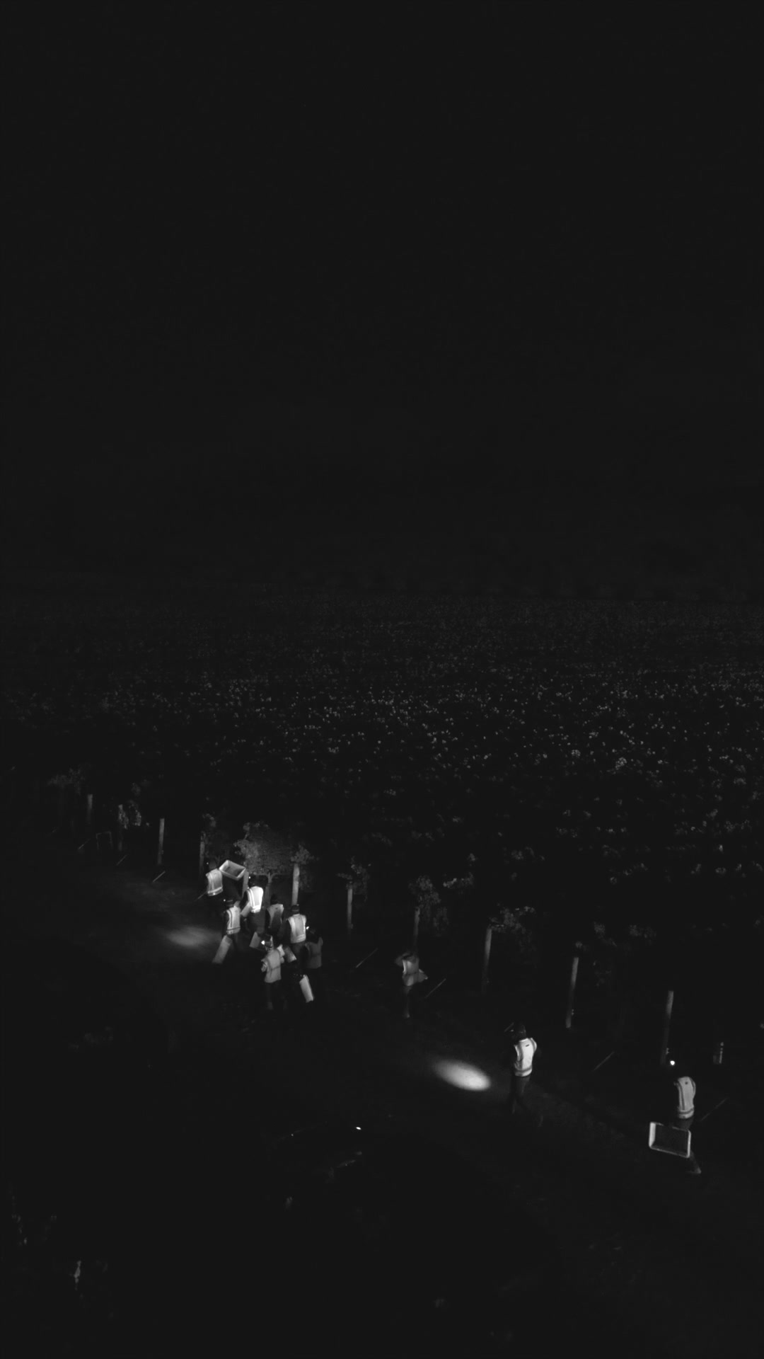 @WineCountryDrone