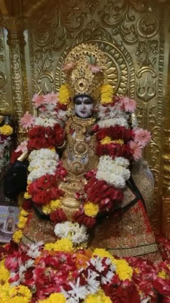 @Tigar meldi 1111