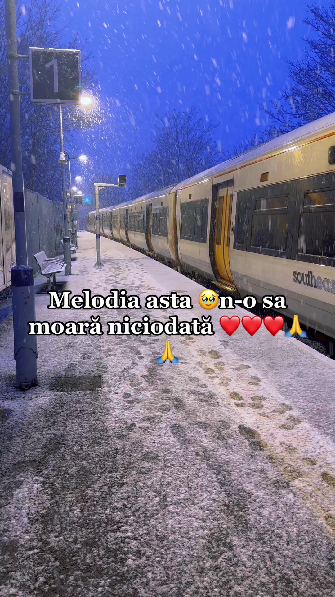 @D_i_k_a ❤️🇲🇩