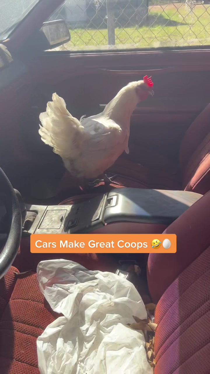 @Suzy | Smoke Show Farms