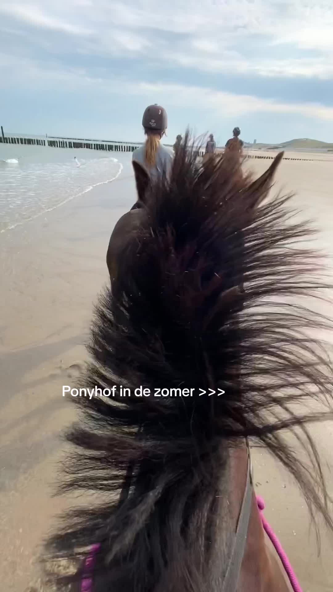 @𝓪𝓷𝓪𝓮𝓵𝓵𝓮