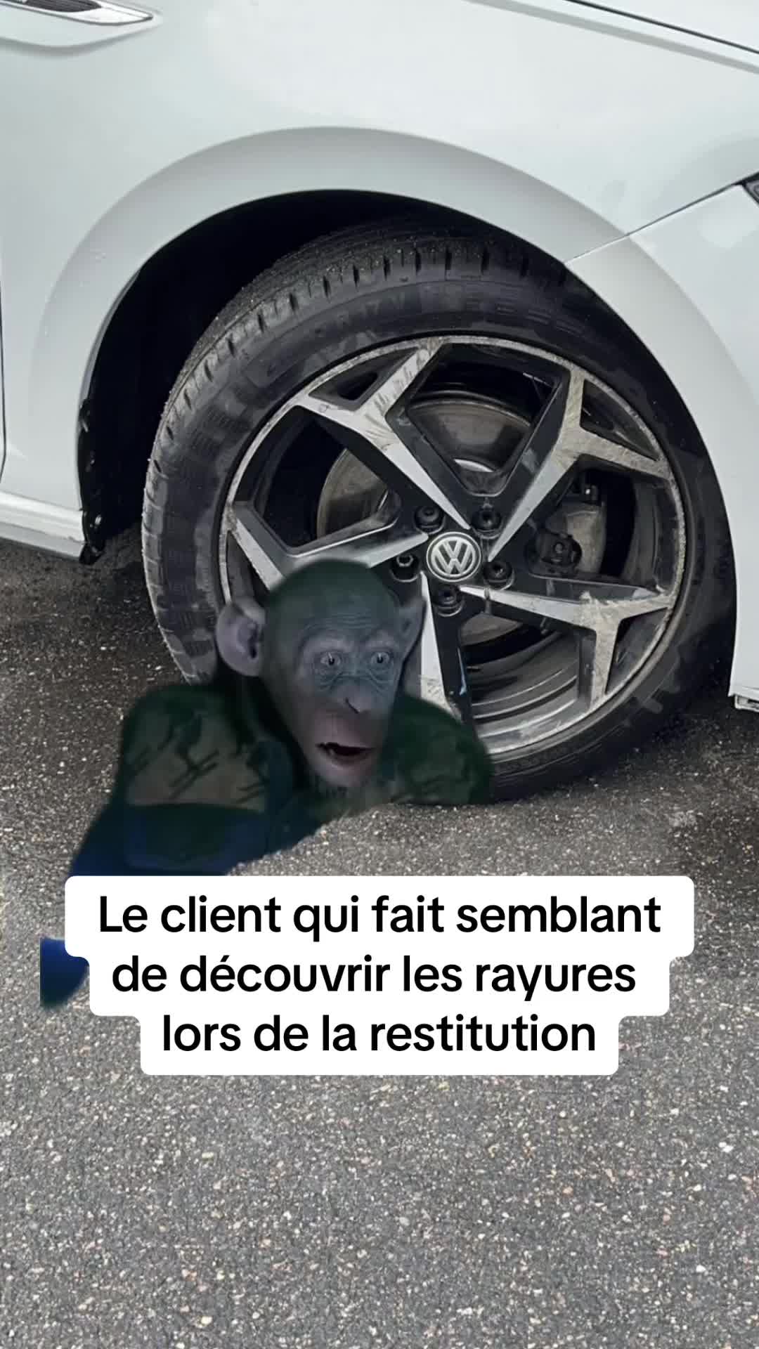 @BRAMS CARS