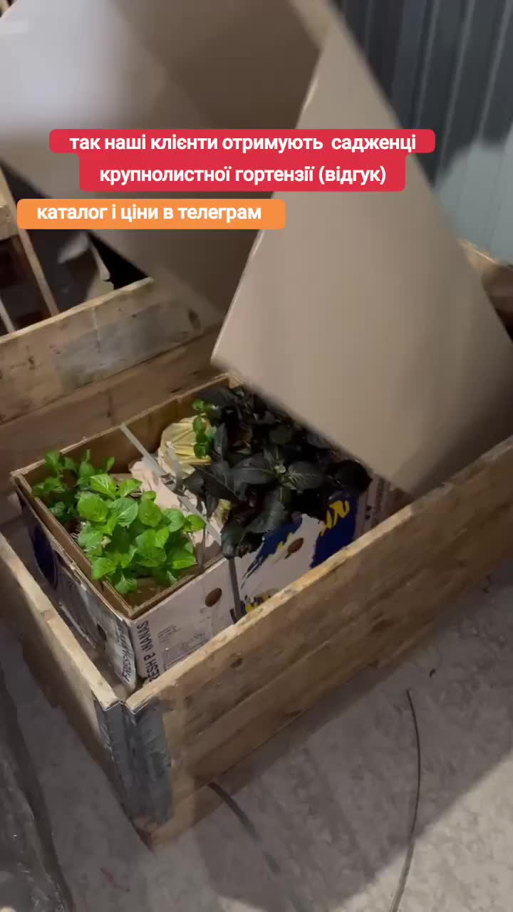 @🦋 Larisa_Fedorovna 💐