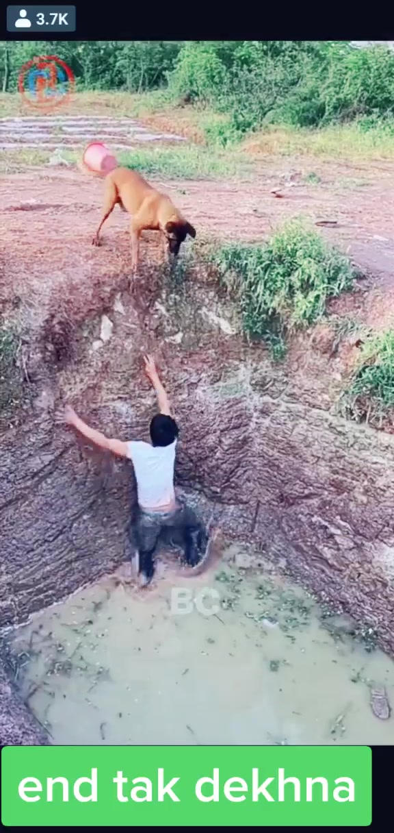@BALVIR KALIPUR WALA