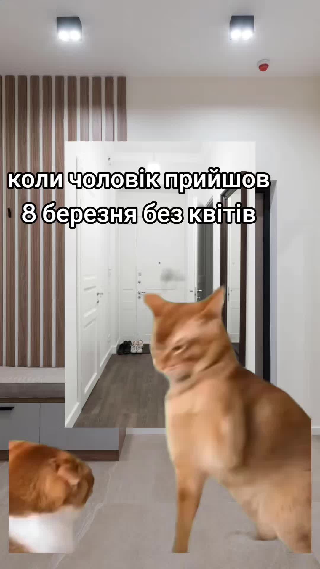 @Lightning McQueen