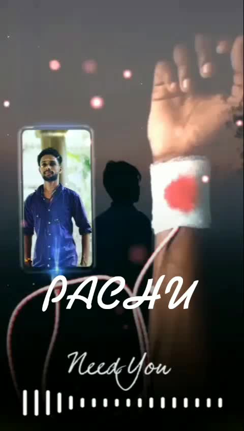 @PACHU CaxRod 123