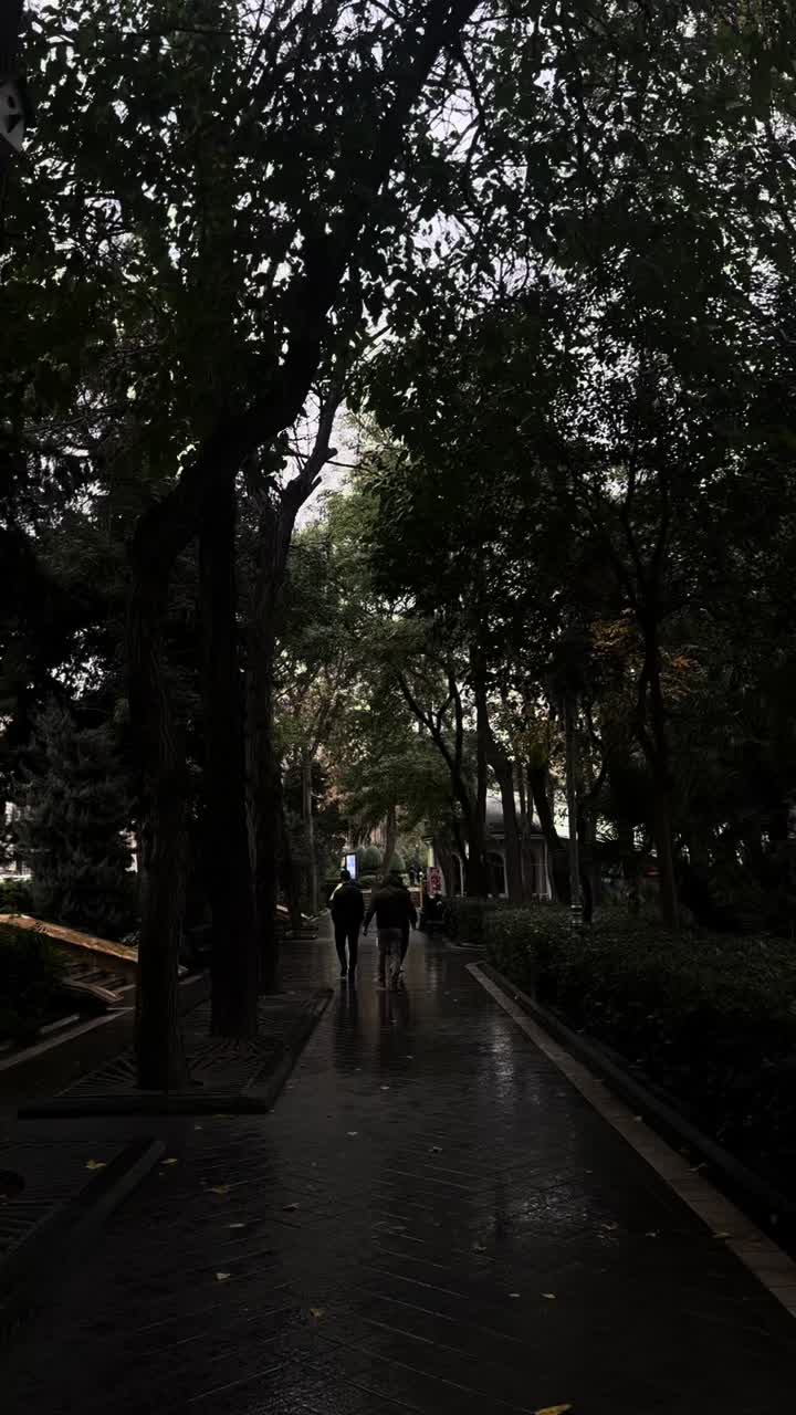 @Dark.aura