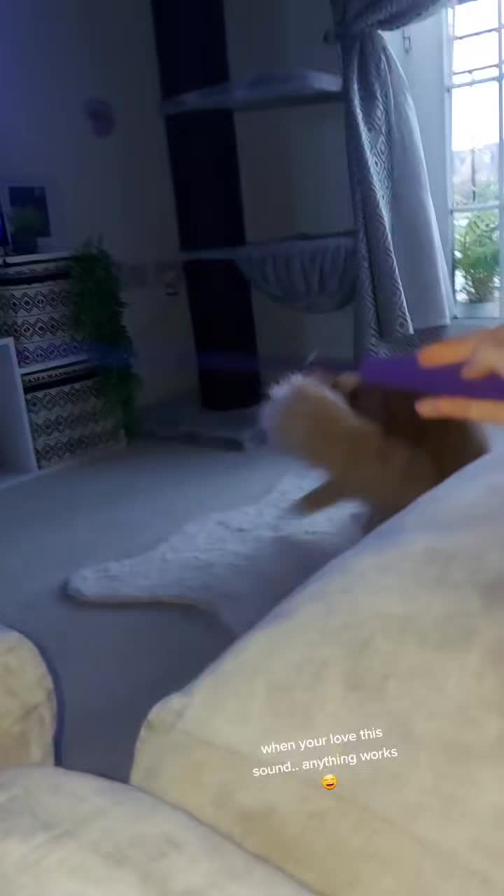 @Odintheforestcat
