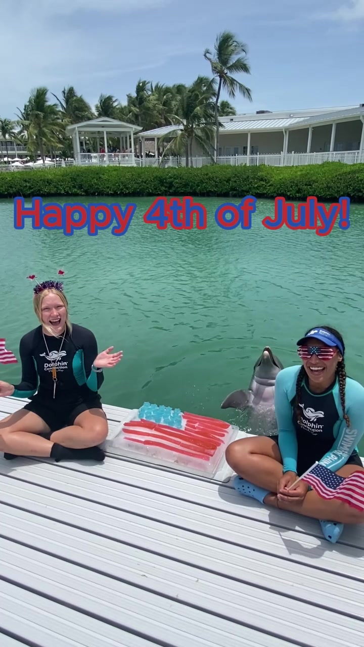 @dolphinconnection