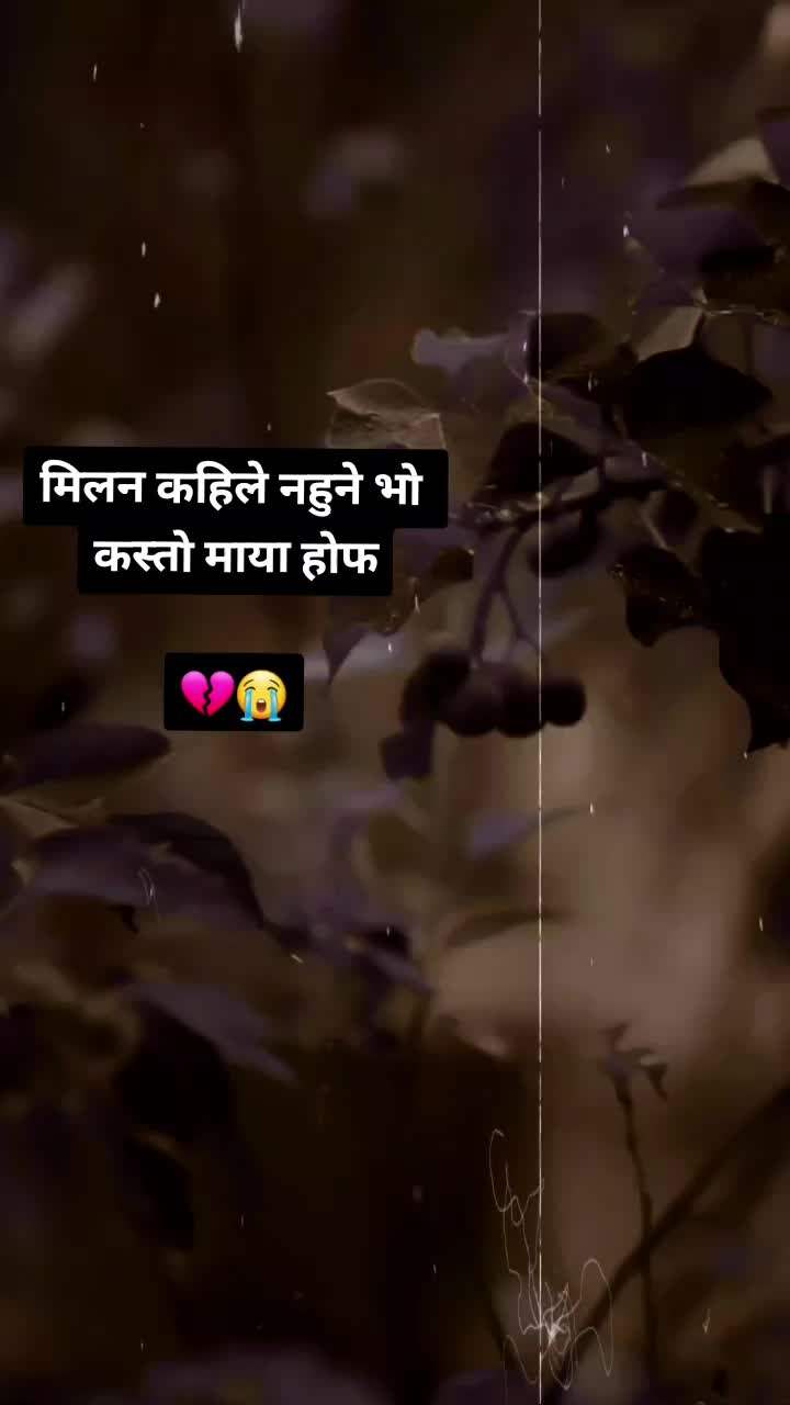 @BiSuX