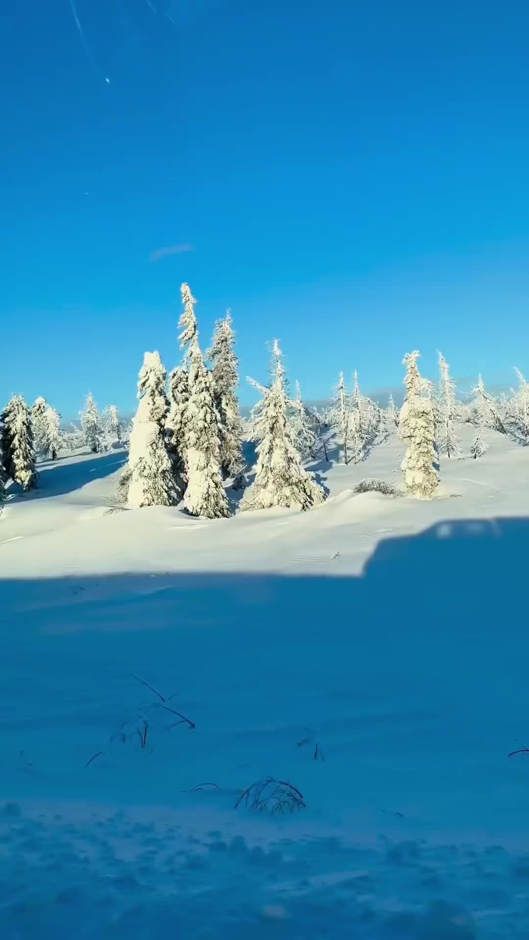 @Toolik Field Station