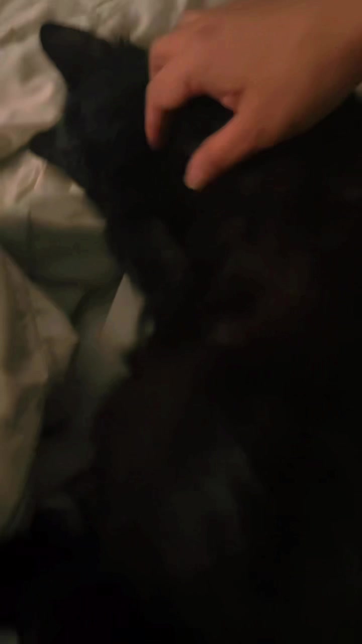 @Miaa🦋🤍