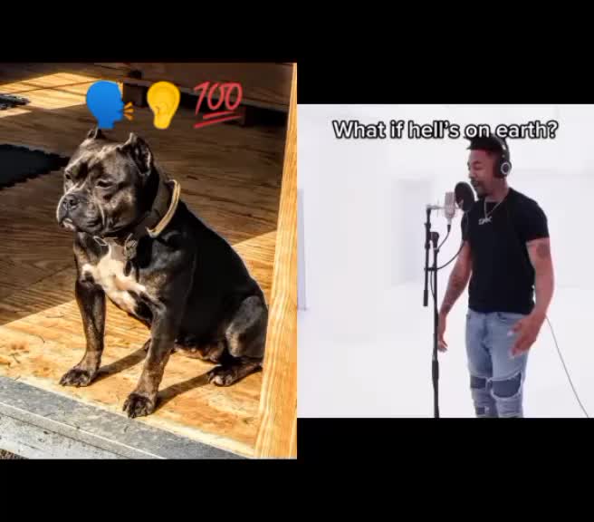 @Flextimebullyz