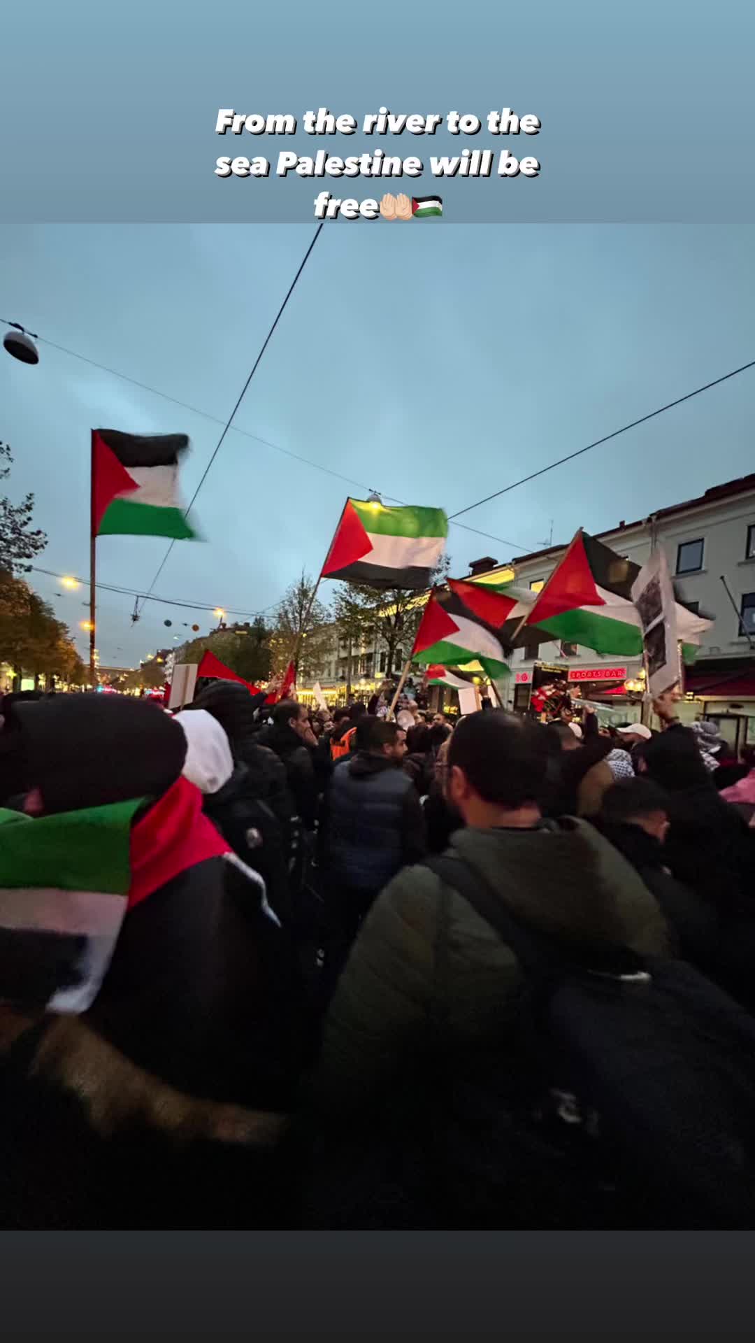 @Ranim🇵🇸