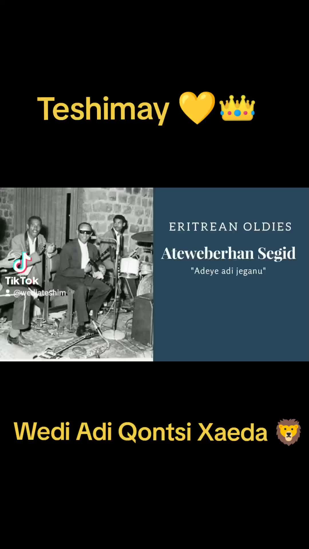 @Wedi DekiTeshim ዞባ ኣተሽም ምንቅስቓስ