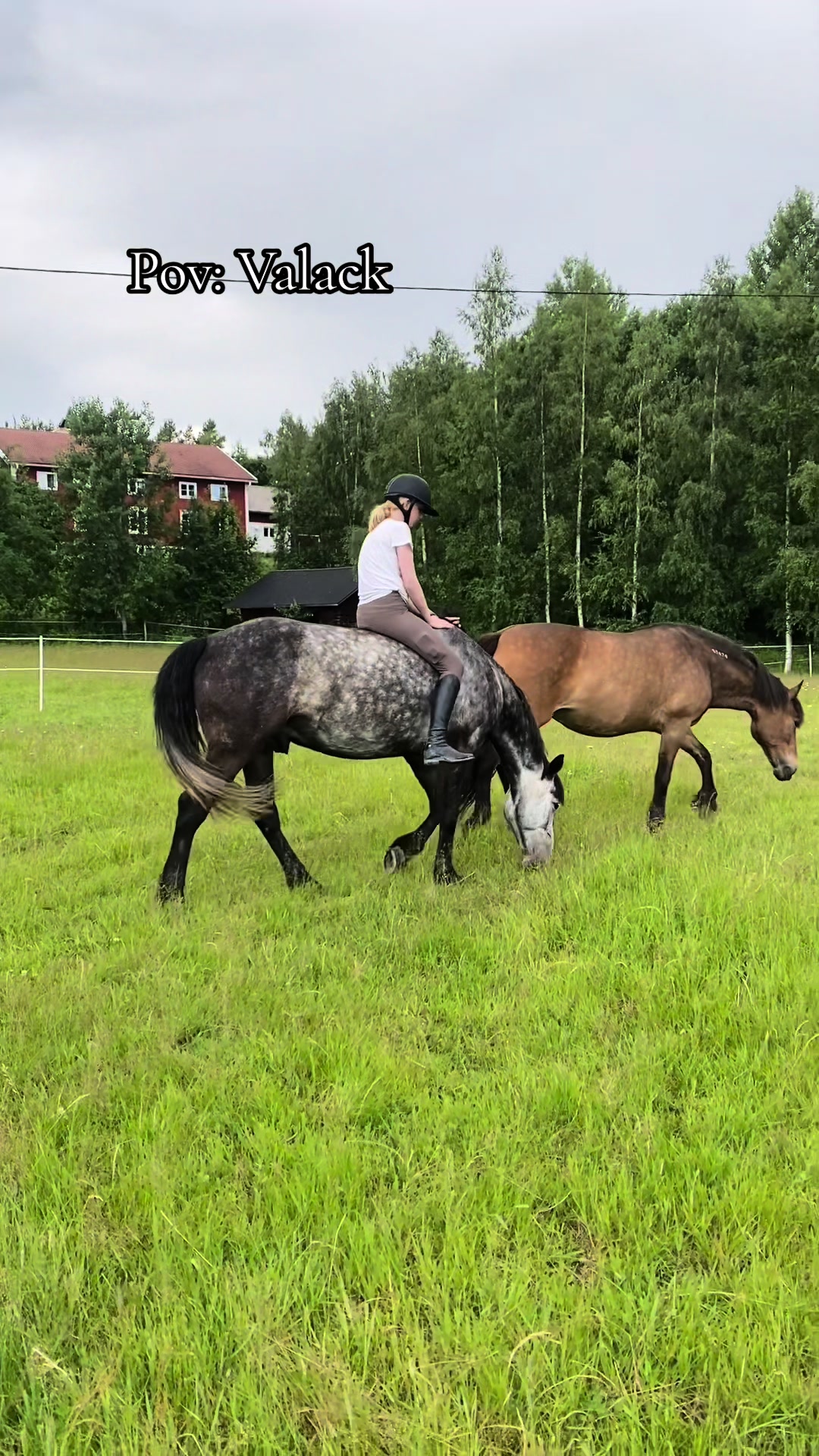 @Alice å Jack🌟