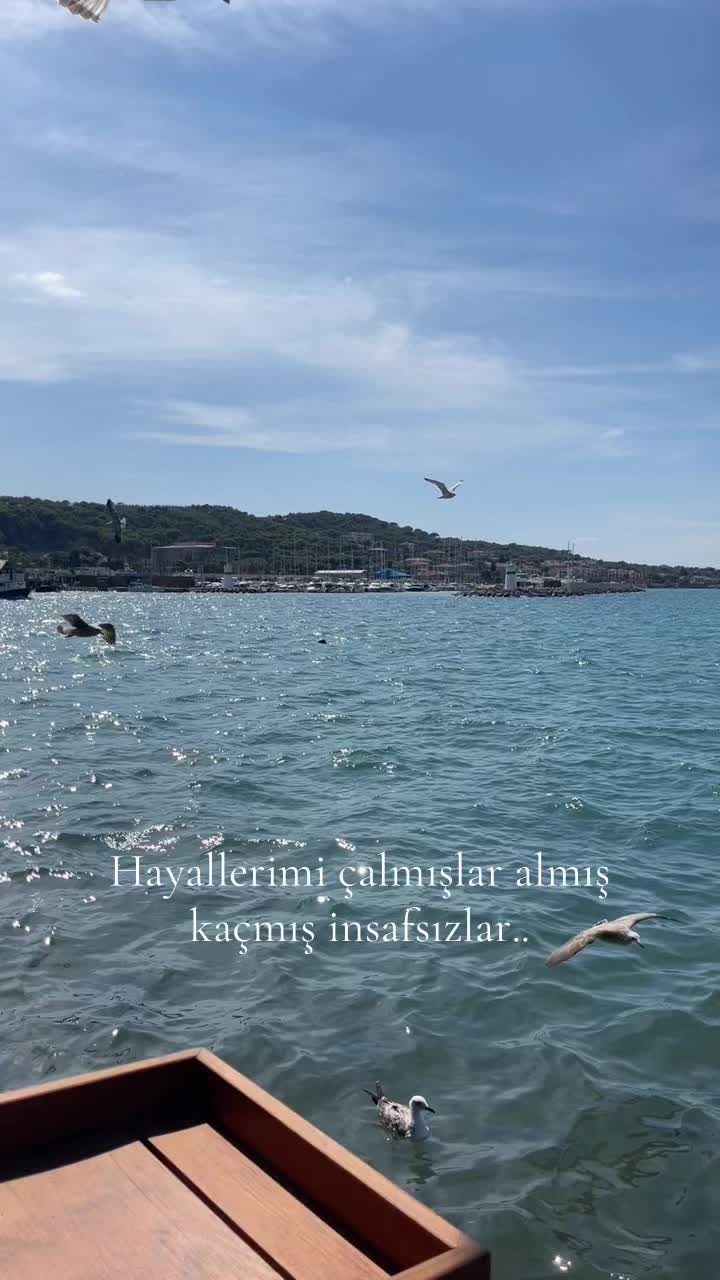 @𝘼𝙡𝙮𝙖