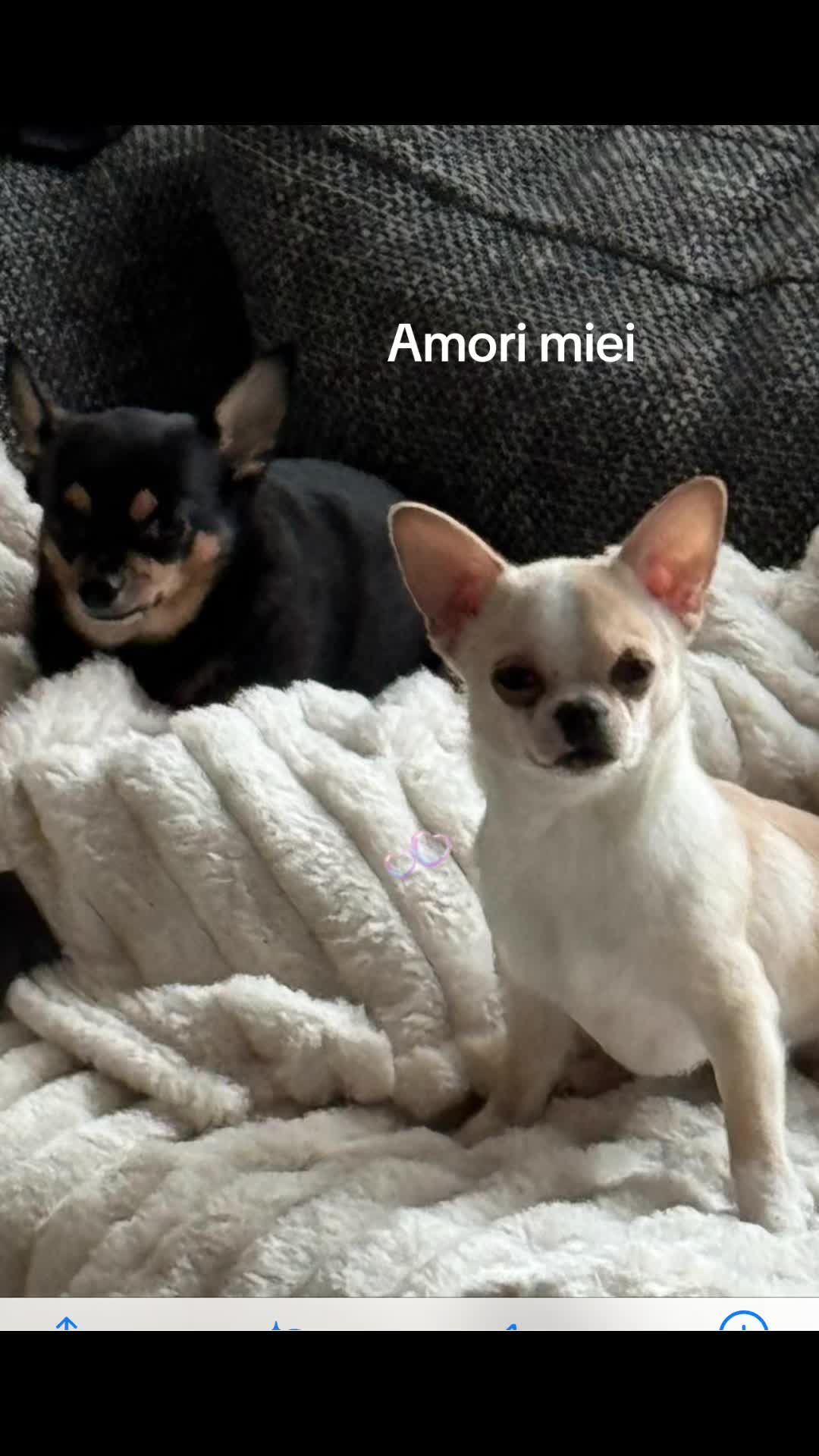 @Nuvole