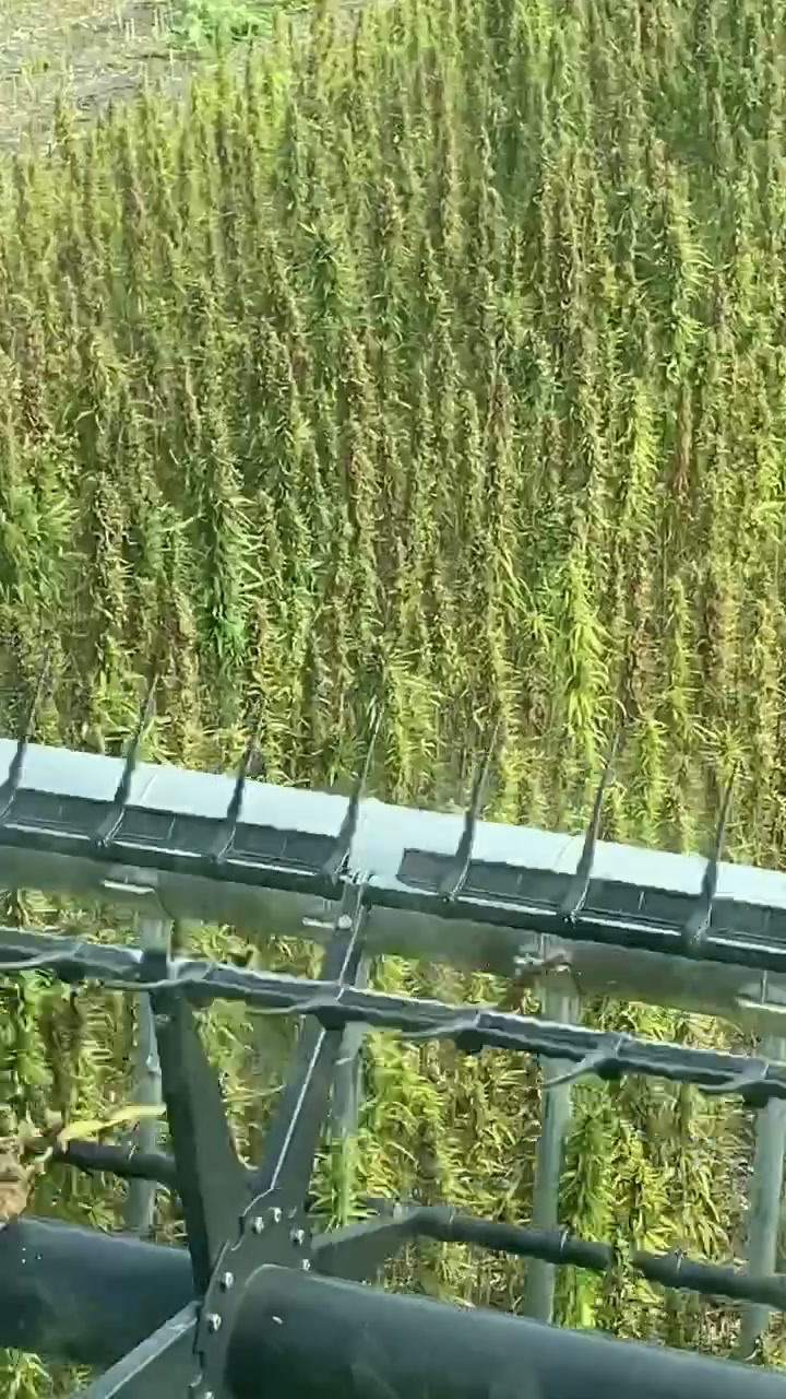 @AutoSteerKing