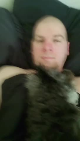 @Toto the Mutt