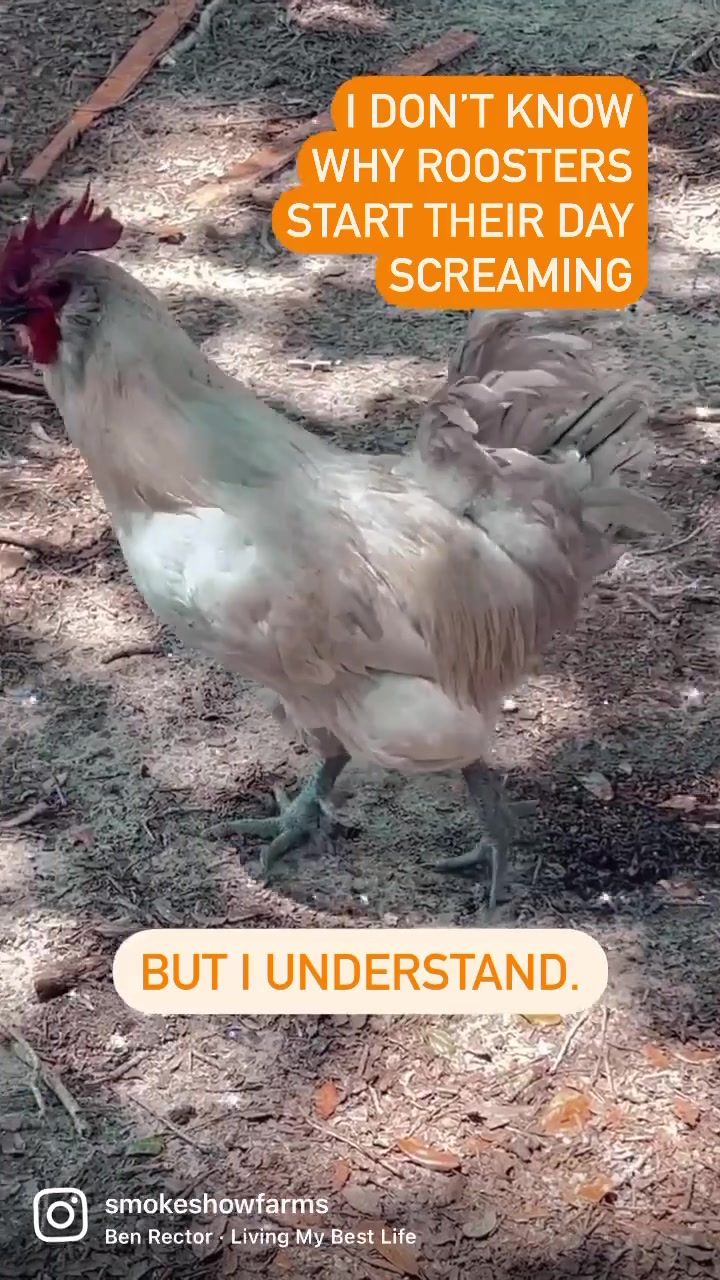 @Suzy | Smoke Show Farms