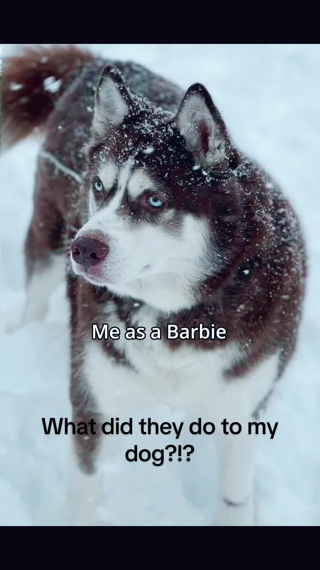 @Otis