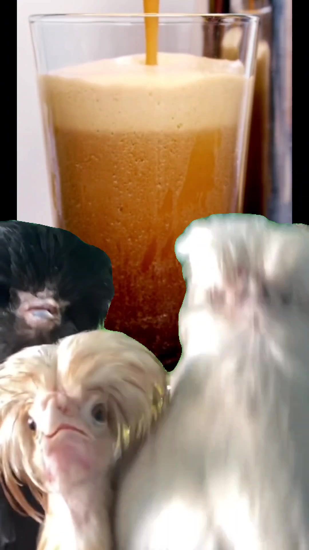 @Diesel Cold Brew
