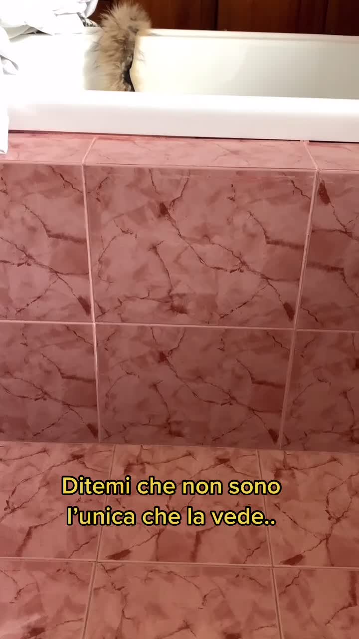 @Giasmin Cecchinato
