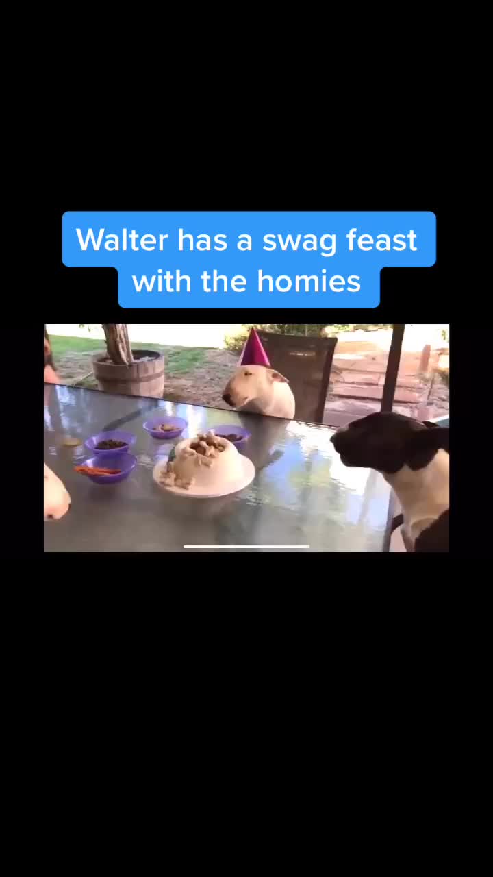 @WalterDog