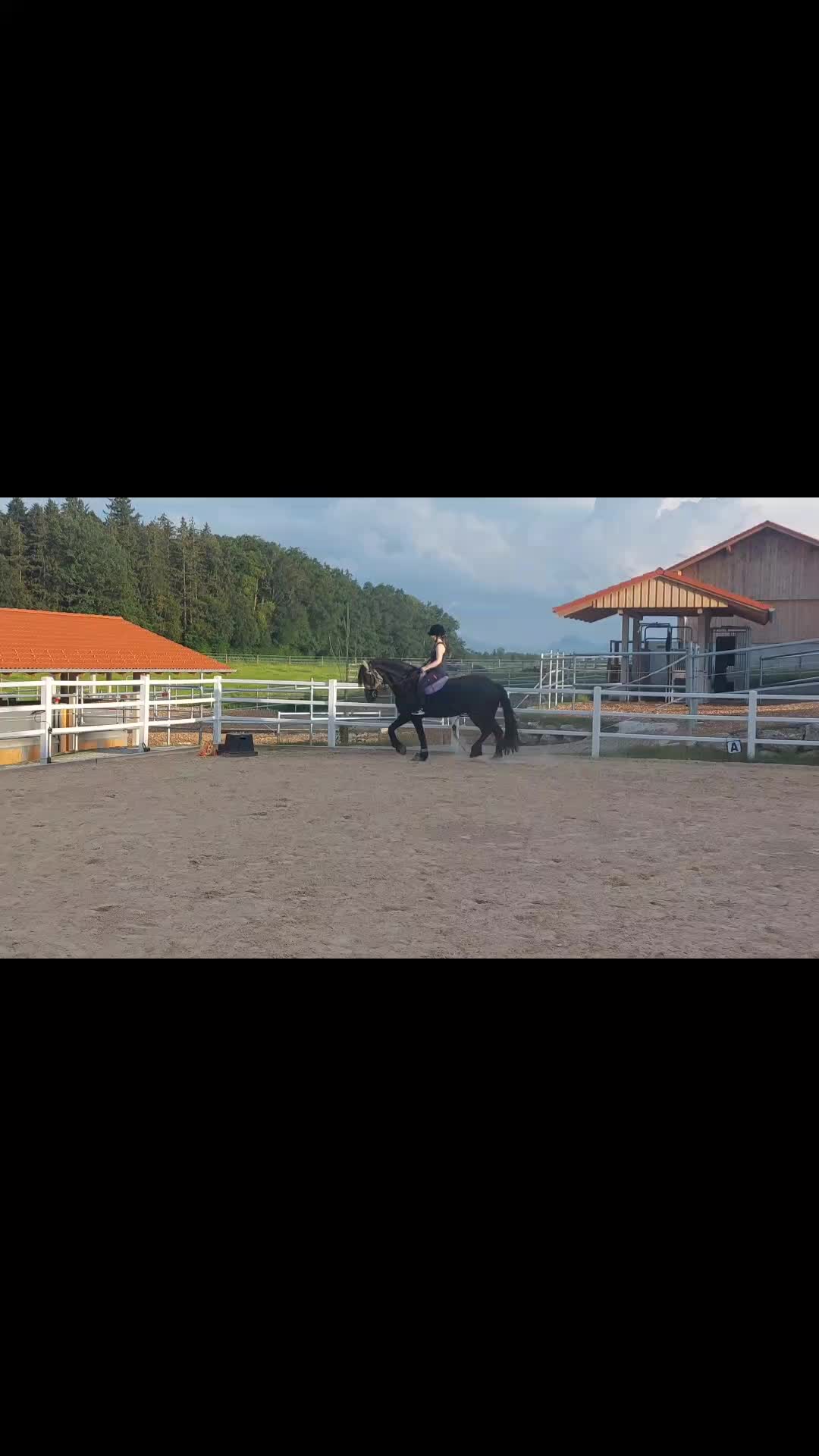 @seelenfriesen_