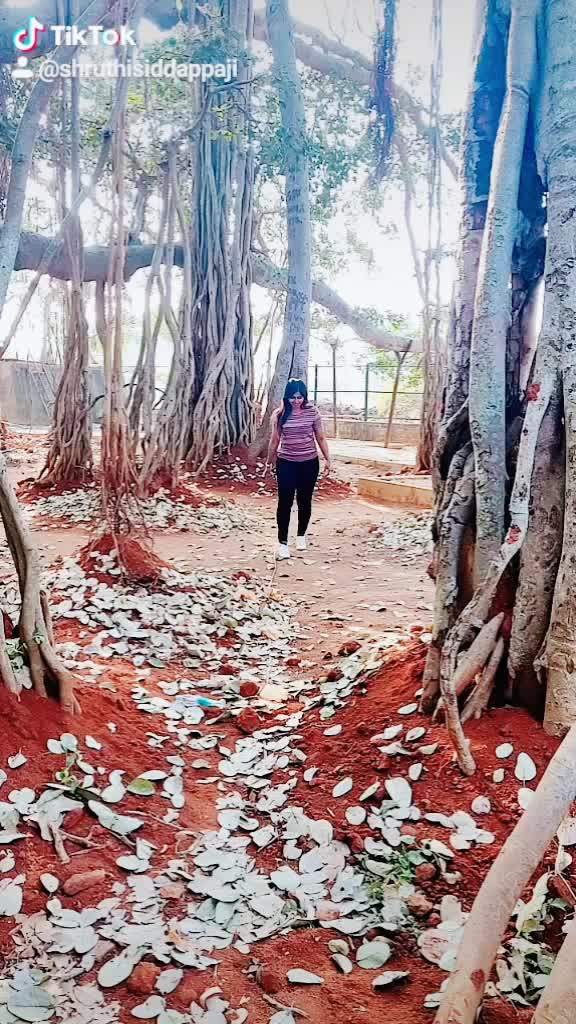 @Shruthi Siddappaji K